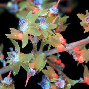 Meet your Posher, Evan